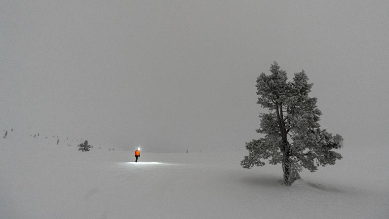 四组密码,一个人生